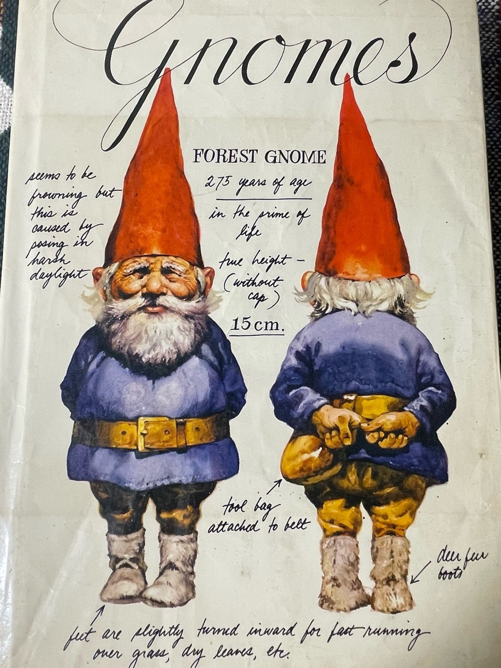 Gnome Illustration Art Print - Red Hat Blue Coat